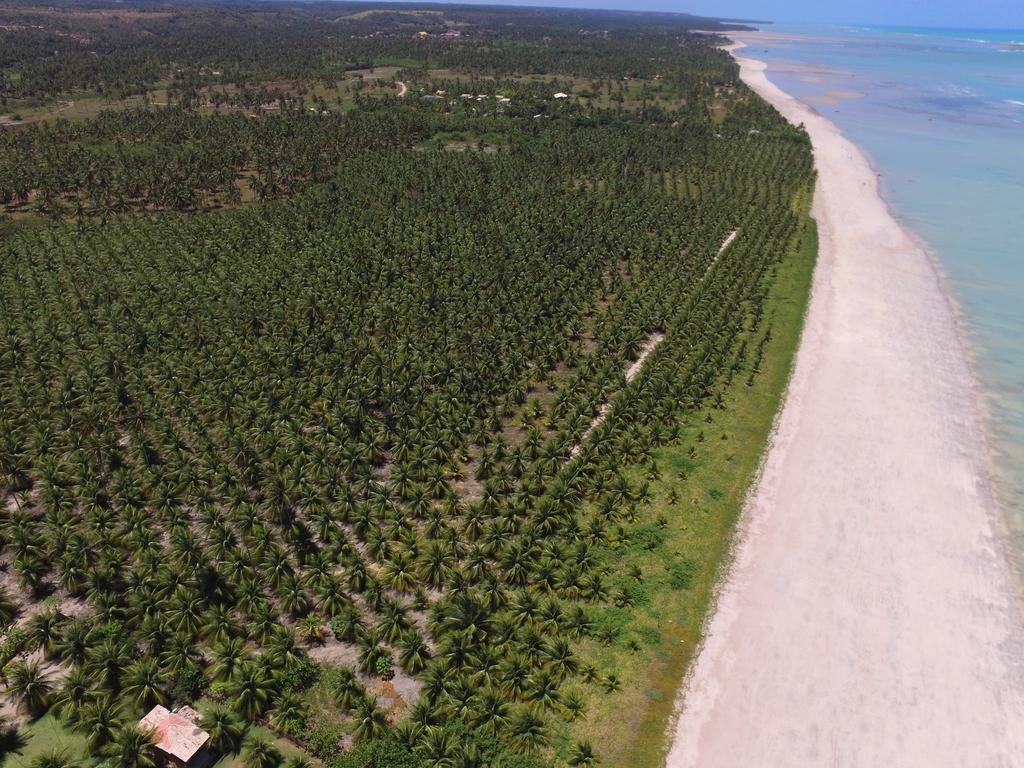 Villas Tature São Miguel dos Milagres エクステリア 写真