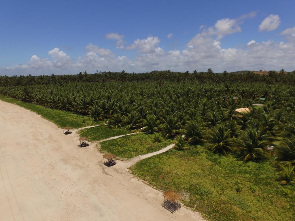 Villas Tature São Miguel dos Milagres エクステリア 写真